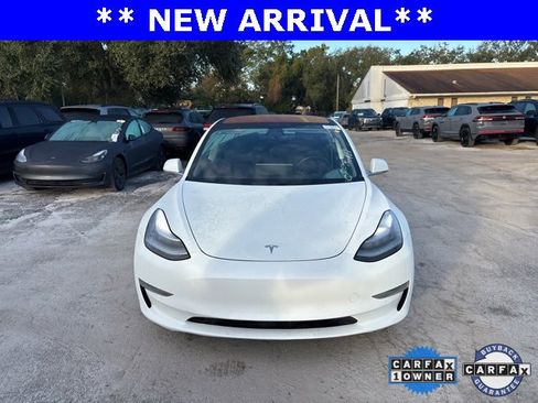 Used 2019 Tesla Model 3 Standard Range Plus image 15
