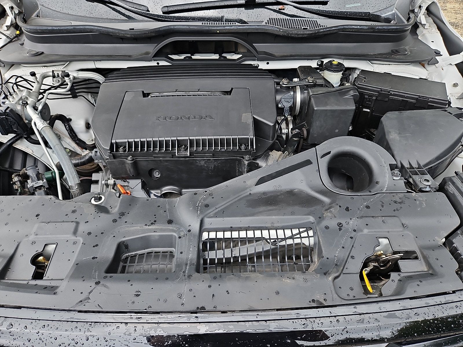 Certified 2023 Honda Pilot TrailSport image 31