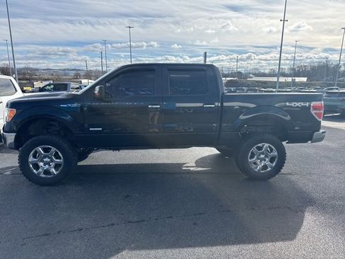 Used 2014 Ford F150 XLT w/ Equipment Group 302A Luxury image 1