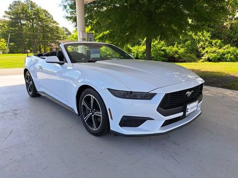 Used 2025 Ford Mustang Premium RWD image 7