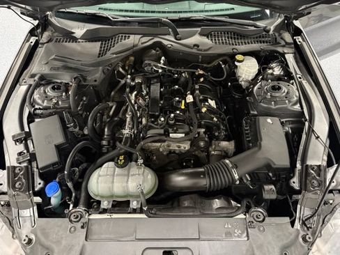 Used 2021 Ford Mustang Coupe w/ Equipment Group 101A RWD image 13