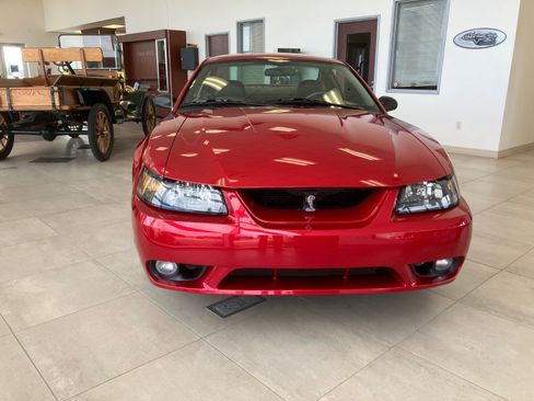 Used 2001 Ford Mustang Cobra RWD image 7