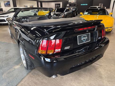 Used 1999 Ford Mustang Cobra RWD image 9