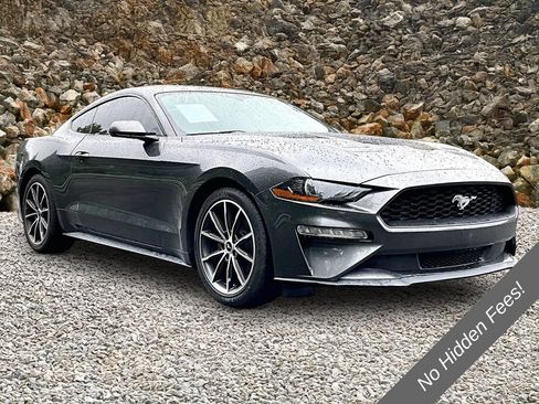 Used 2019 Ford Mustang Coupe w/ Equipment Group 101A RWD image 8