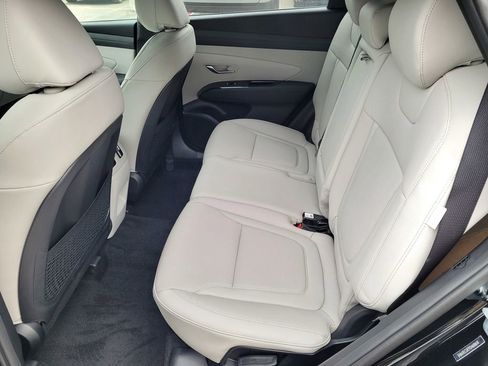 New 2025 Hyundai Tucson Limited image 6