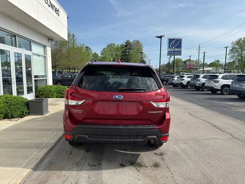 Used 2023 Subaru Forester Premium image 4
