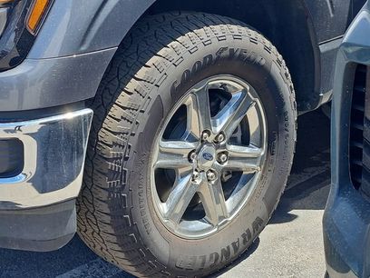 Used 2025 Ford F150 XLT w/ Equipment Group 301A Standard