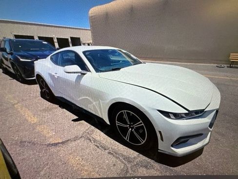 Used 2024 Ford Mustang Premium RWD image 12