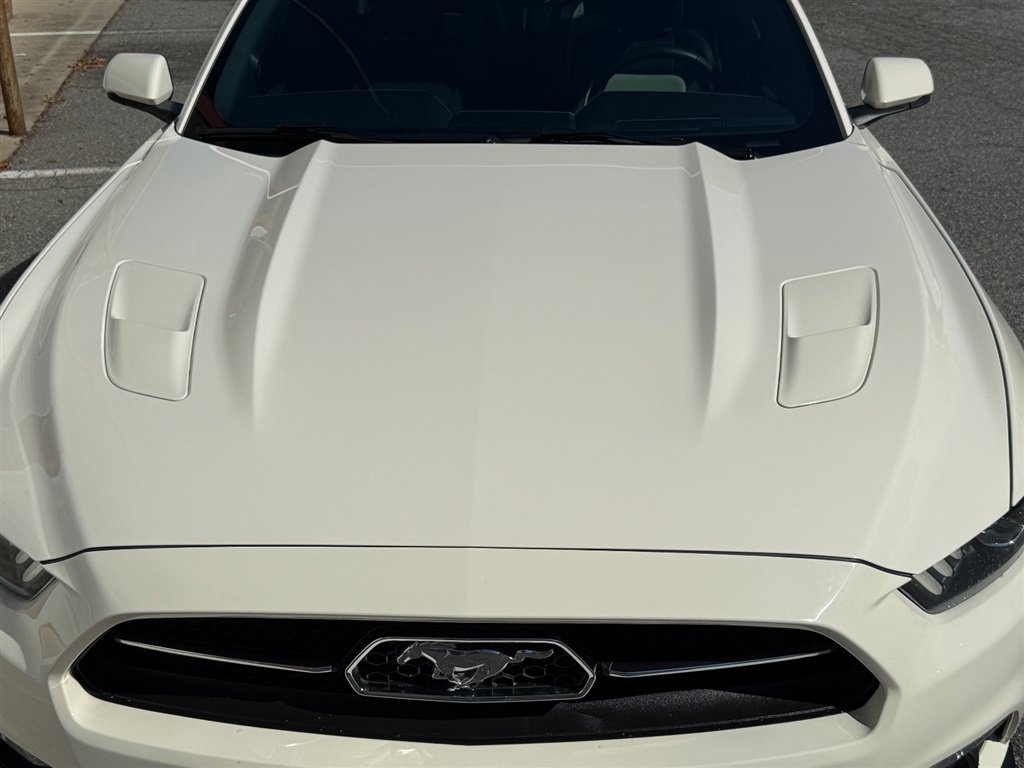 Used 2015 Ford Mustang 50 Years RWD image 14