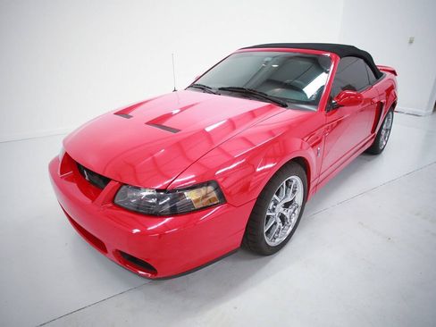 Used 2004 Ford Mustang Cobra RWD image 14