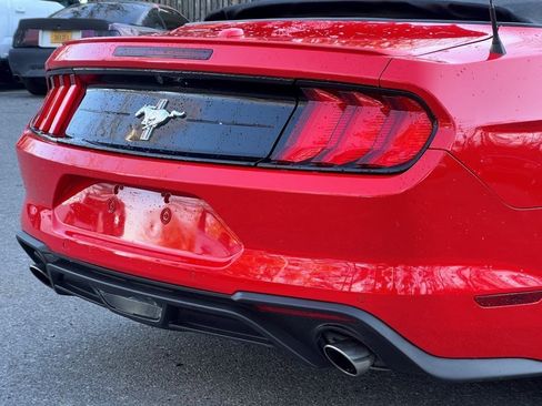 Used 2020 Ford Mustang Premium w/ Equipment Group 201A image 6