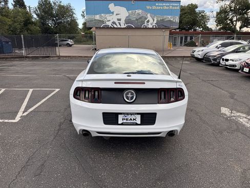 Used 2014 Ford Mustang Premium w/ Equipment Group 201A RWD image 6
