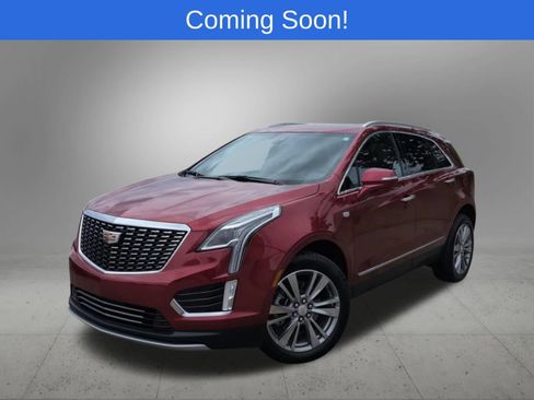 Used 2025 Cadillac XT5 Premium Luxury AWD/4WD image 1