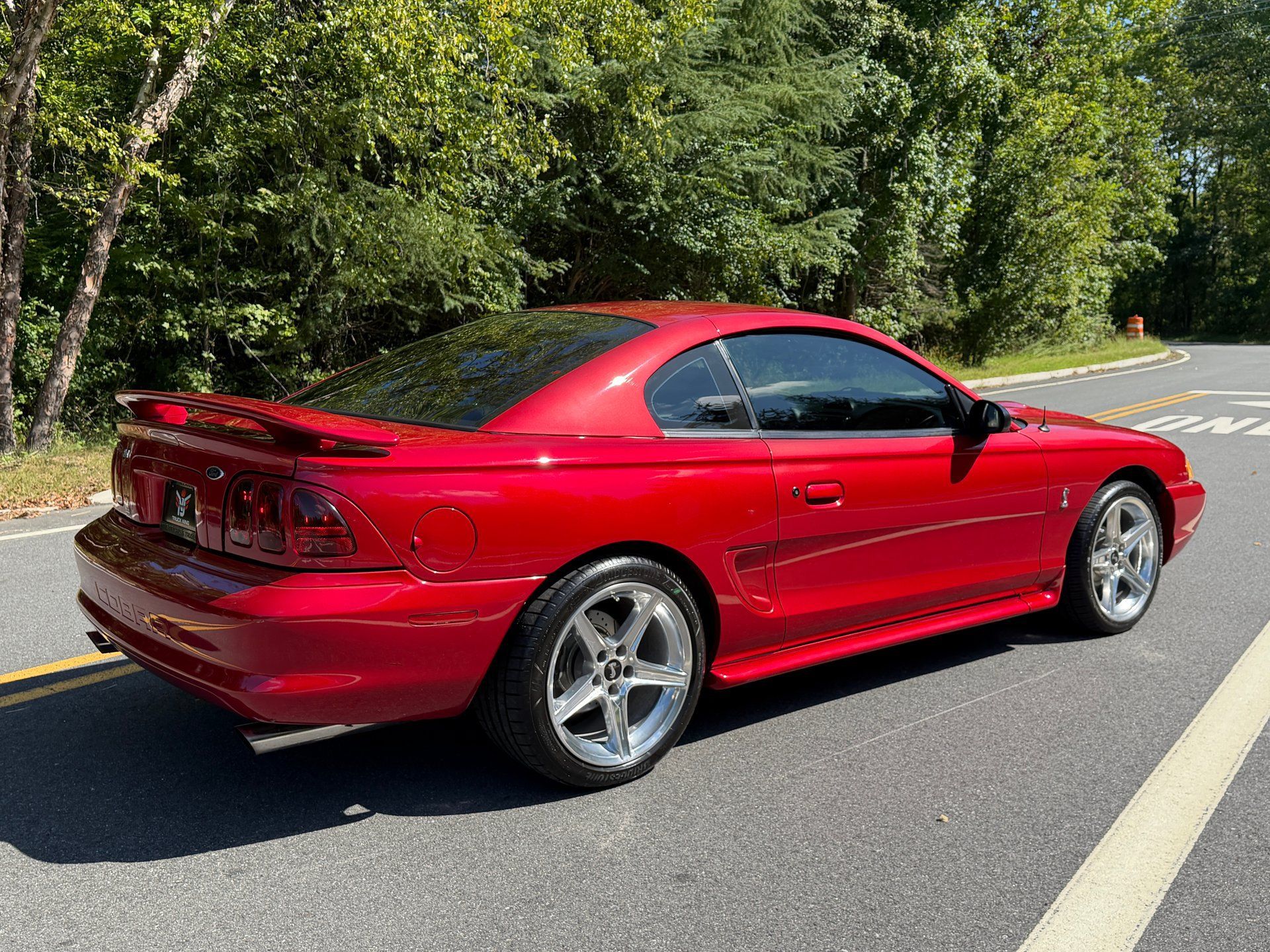 Used 1996 Ford Mustang Cobra RWD image 14