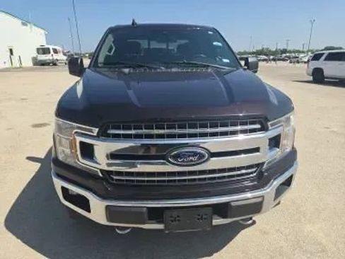 Used 2019 Ford F150 XLT w/ Equipment Group 302A Luxury AWD/4WD image 6