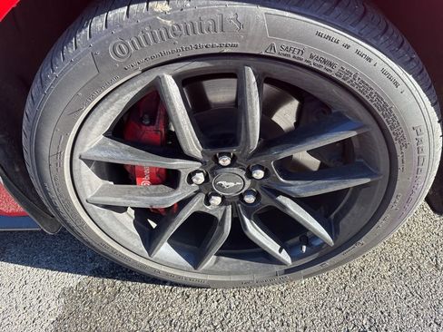 Used 2024 Ford Mustang GT Premium image 7