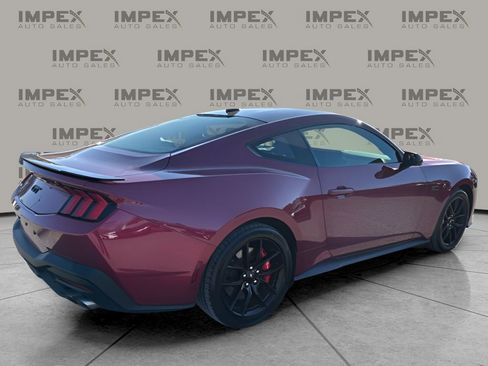 Used 2025 Ford Mustang GT Premium w/ Mustang Nite Pony Package image 5