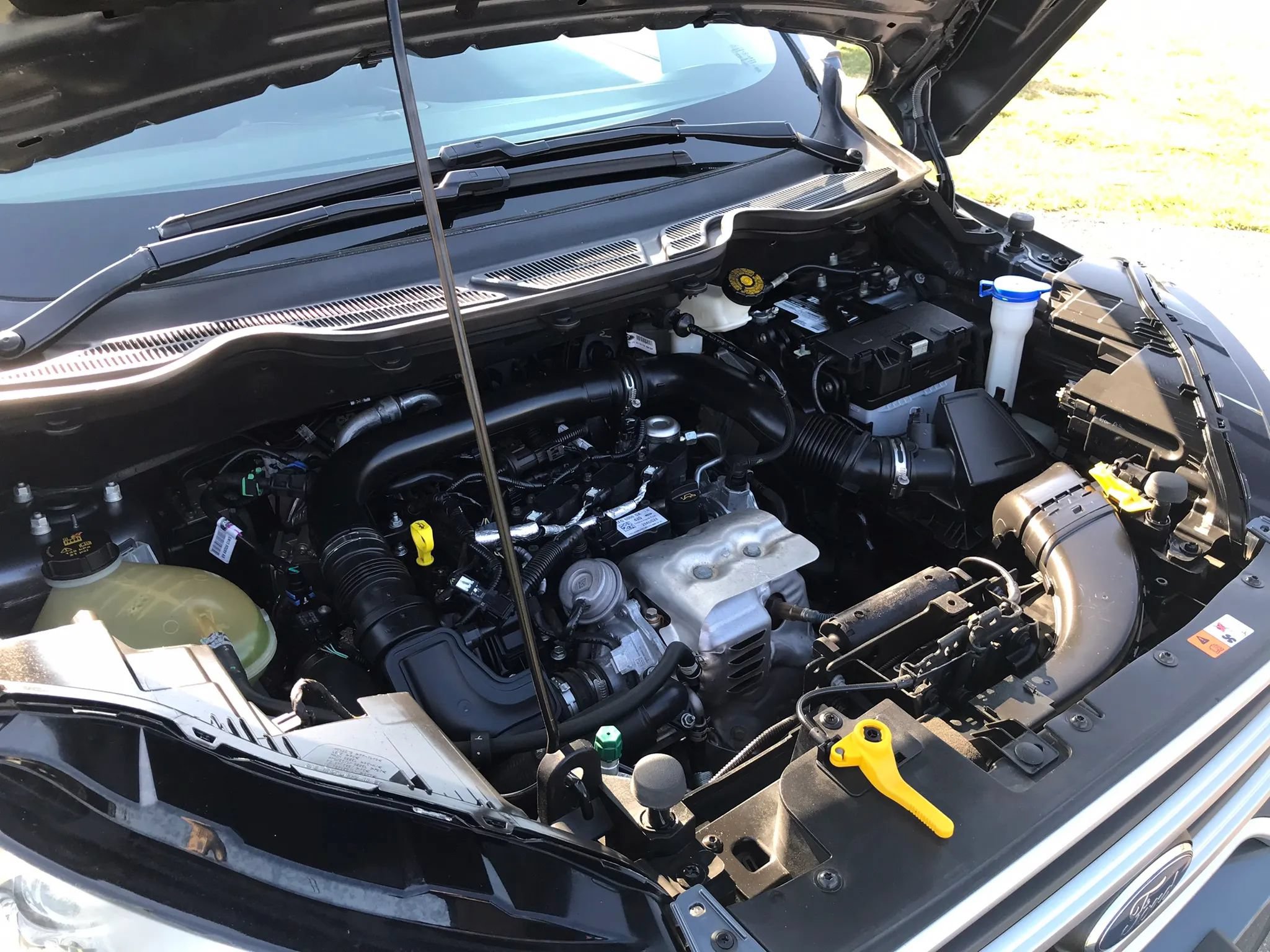 Used 2019 Ford EcoSport SE FWD image 48