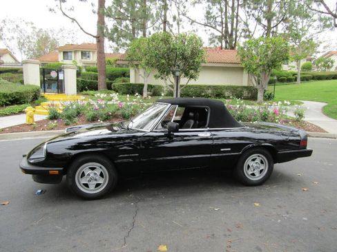 Used 1987 Alfa Romeo Spider Veloce image 36