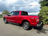 Used 2019 Ford F150 XLT w/ Equipment Group 302A Luxury image 5