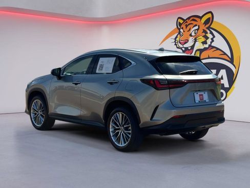 Used 2025 Lexus NX 350 AWD w/ Premium Package image 7