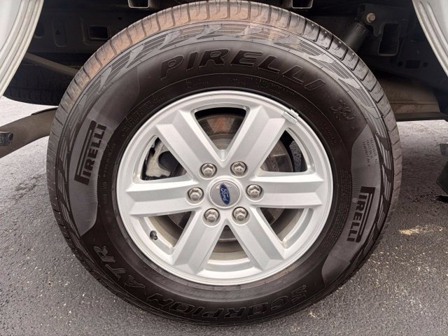 Used 2023 Ford F150 XLT AWD/4WD image 14