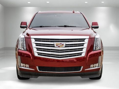 Used 2019 Cadillac Escalade Platinum image 5