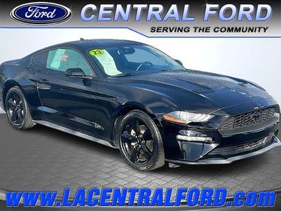 Certified 2023 Ford Mustang Coupe w/ Mustang Nite Pony Package