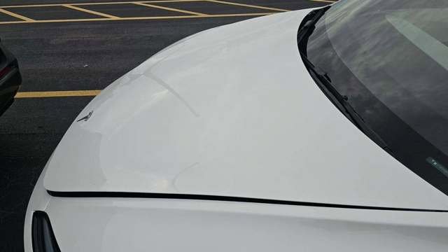Used 2025 Tesla Model 3 Long Range RWD image 3