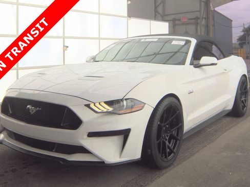Used 2019 Ford Mustang GT Premium RWD image 1