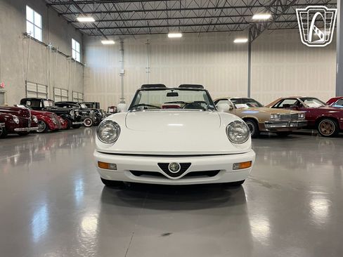 Used 1991 Alfa Romeo Spider Veloce image 4