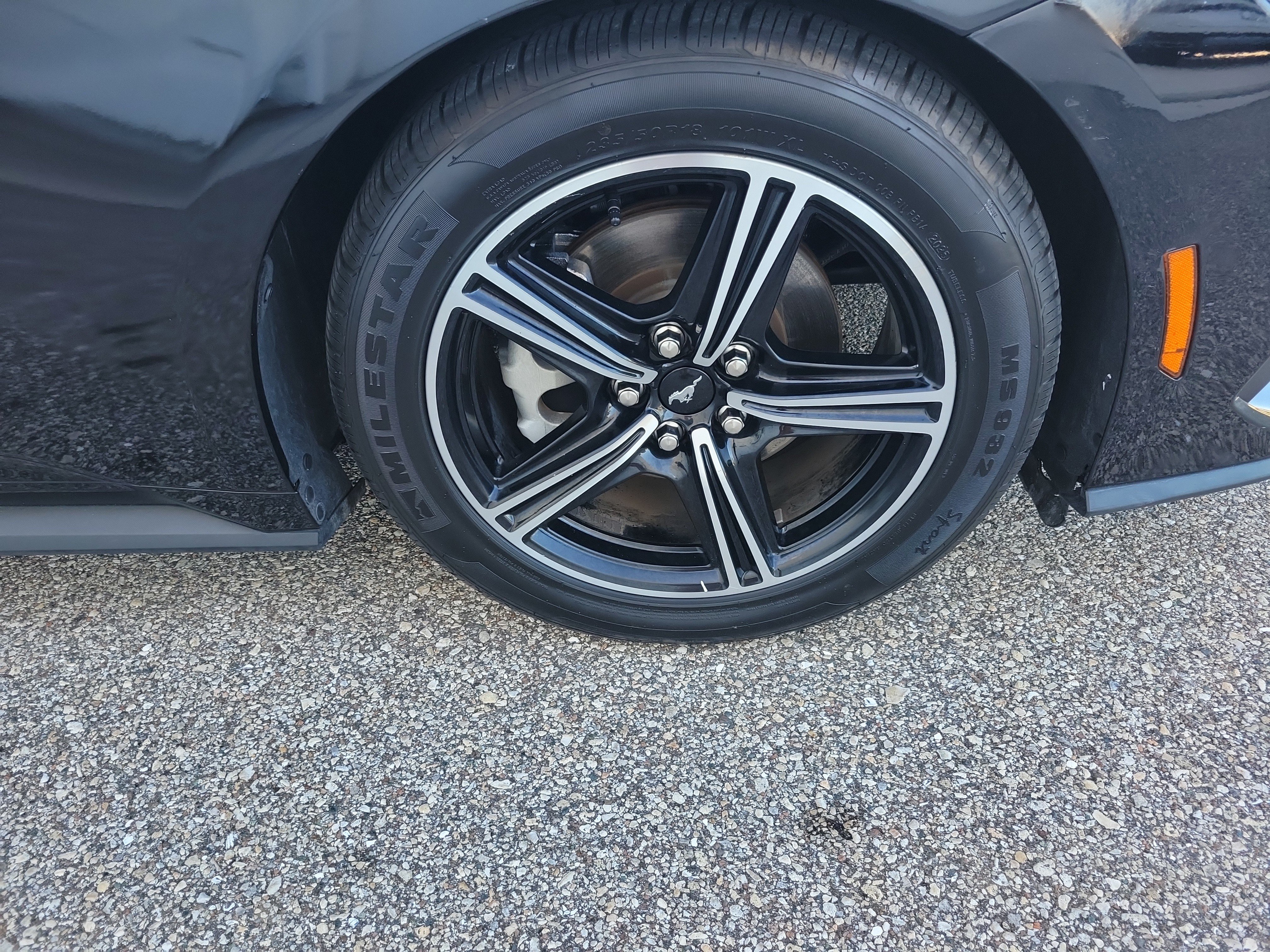 Used 2025 Ford Mustang Premium RWD image 9
