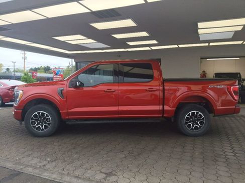 Used 2023 Ford F150 XLT w/ Equipment Group 302A High AWD/4WD image 9