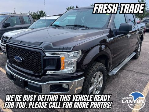 Used 2018 Ford F150 XLT w/ Equipment Group 302A Luxury AWD/4WD image 4