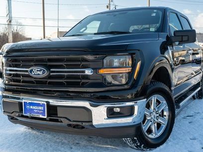 Used 2025 Ford F150 XLT w/ Equipment Group 301A Standard