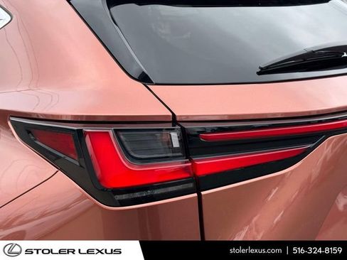 Used 2025 Lexus NX 350 AWD w/ Cold Area Package image 14