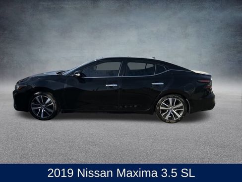 Used 2019 Nissan Maxima 3.5 SL image 2