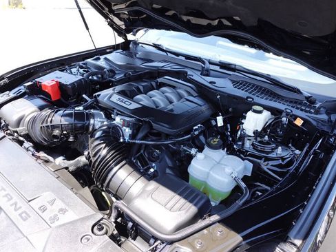 Used 2025 Ford Mustang GT w/ Mustang Nite Pony Package RWD image 46