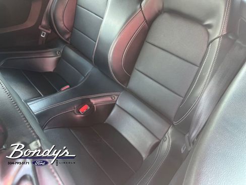 Used 2021 Ford Mustang GT Premium w/ Equipment Group 401A RWD image 11