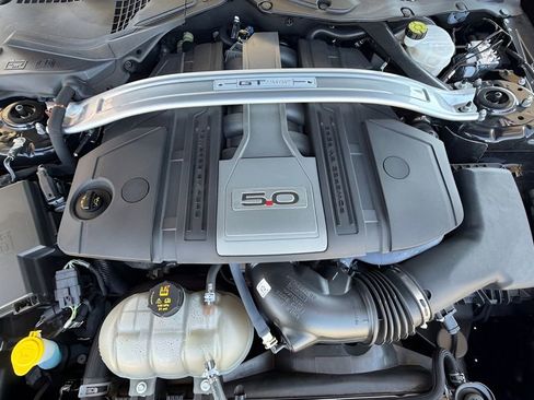 Used 2019 Ford Mustang GT Premium w/ Equipment Group 401A image 3