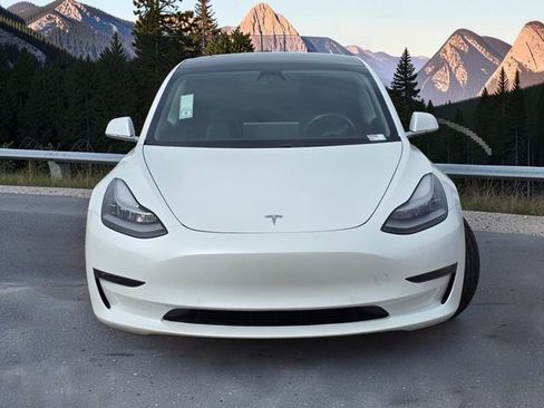 Used 2019 Tesla Model 3 Standard Range Plus image 3