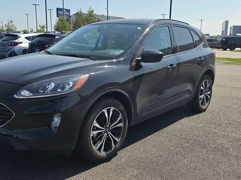 Used 2022 Ford Escape SEL w/ SEL Stealth AWD Package image 2