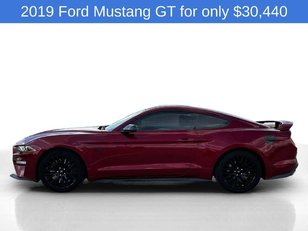 Used 2019 Ford Mustang GT w/ GT Performance Package RWD image 2