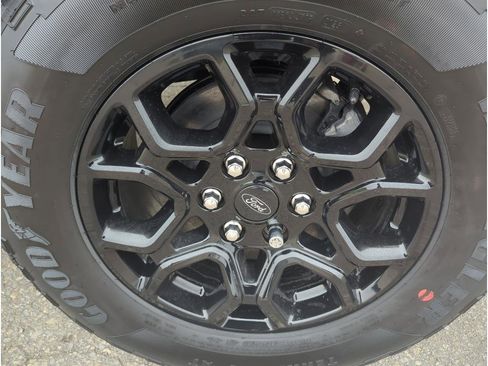 New 2025 Ford F150 XLT w/ Equipment Group 302A MID image 31