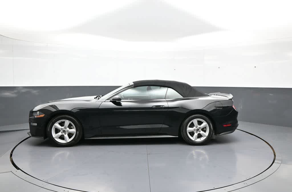 Used 2019 Ford Mustang Convertible RWD image 9