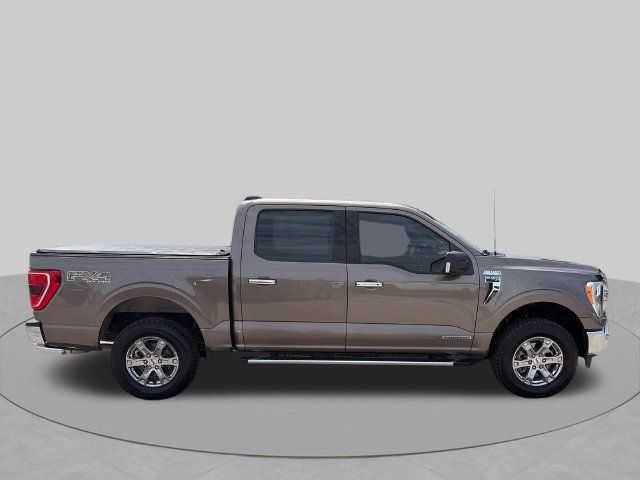 Used 2023 Ford F150 XLT w/ Equipment Group 302A High AWD/4WD image 6