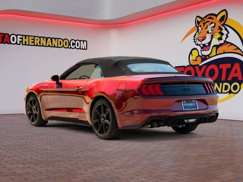 Used 2019 Ford Mustang GT Premium w/ Equipment Group 401A RWD image 8