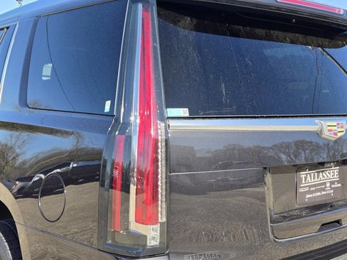 Used 2019 Cadillac Escalade Platinum image 8