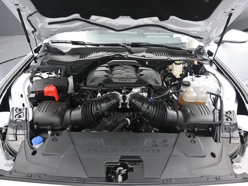 Used 2025 Ford Mustang GT RWD image 14