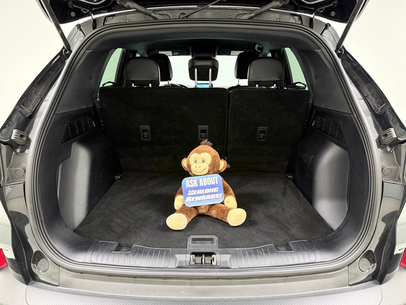 Used 2025 Ford Escape ST-Line AWD/4WD image 8